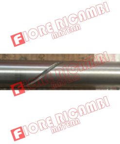 44000312 - ALBERO R.M.